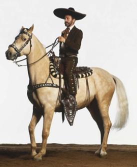 Mexican Charro Outfit