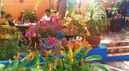 Dining at El Palmar Resort